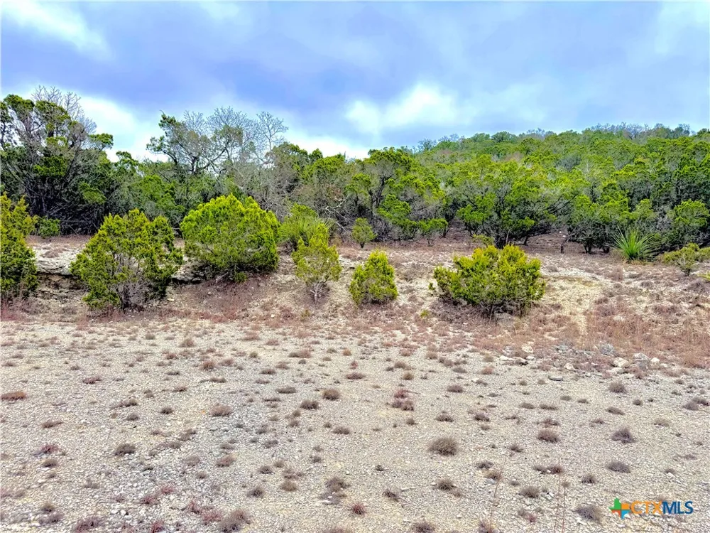 424 Armadillo Trail Drive Centerpoint, TX 78013