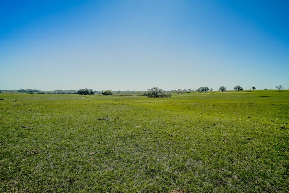 1797 County Road 261 Moulton, TX 77975