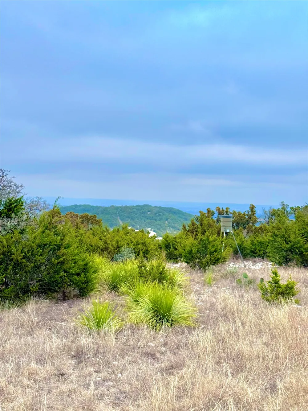123 Fox Trail Drive Center Point, TX 78013