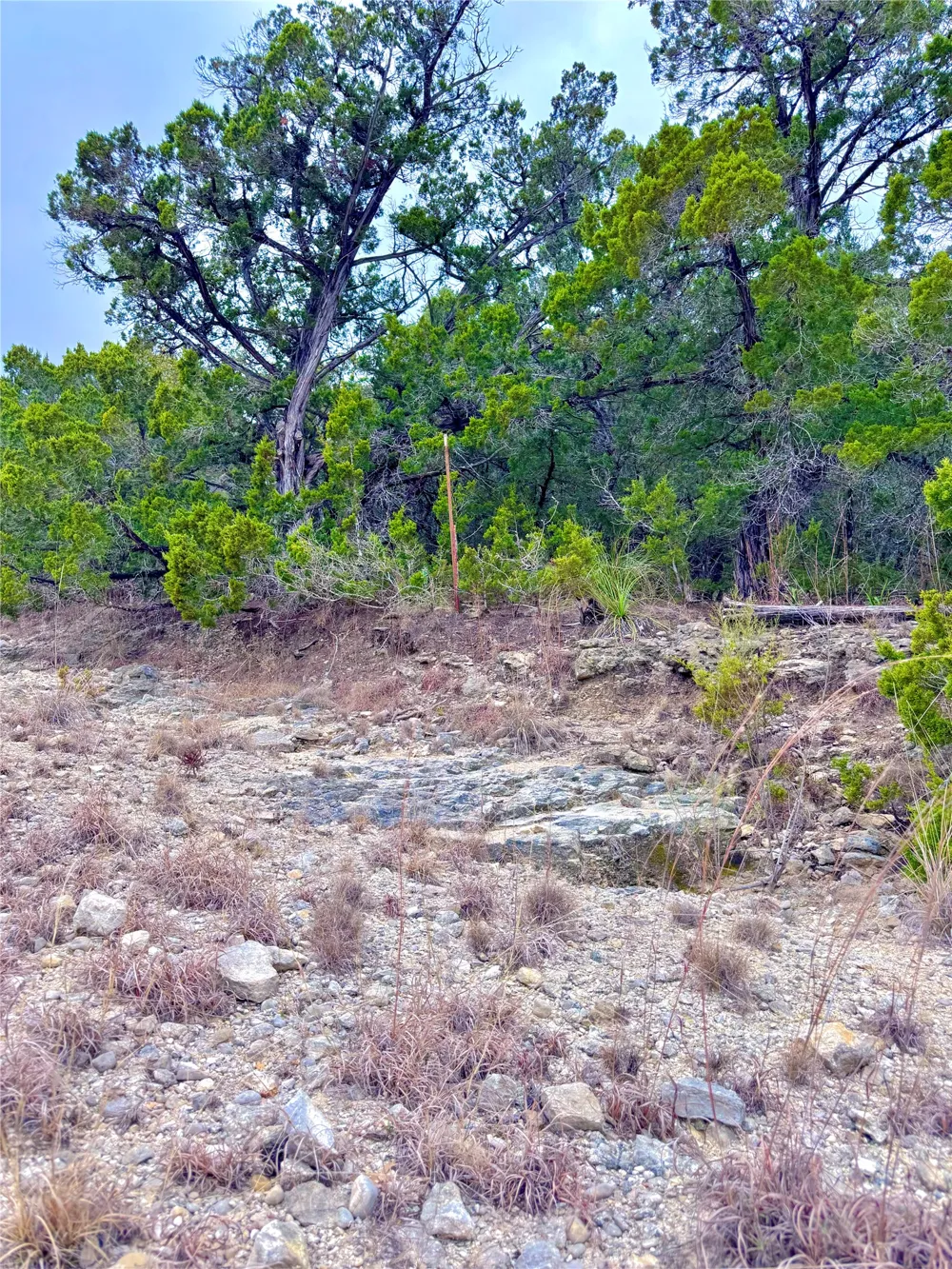 123 Fox Trail Drive Center Point, TX 78013