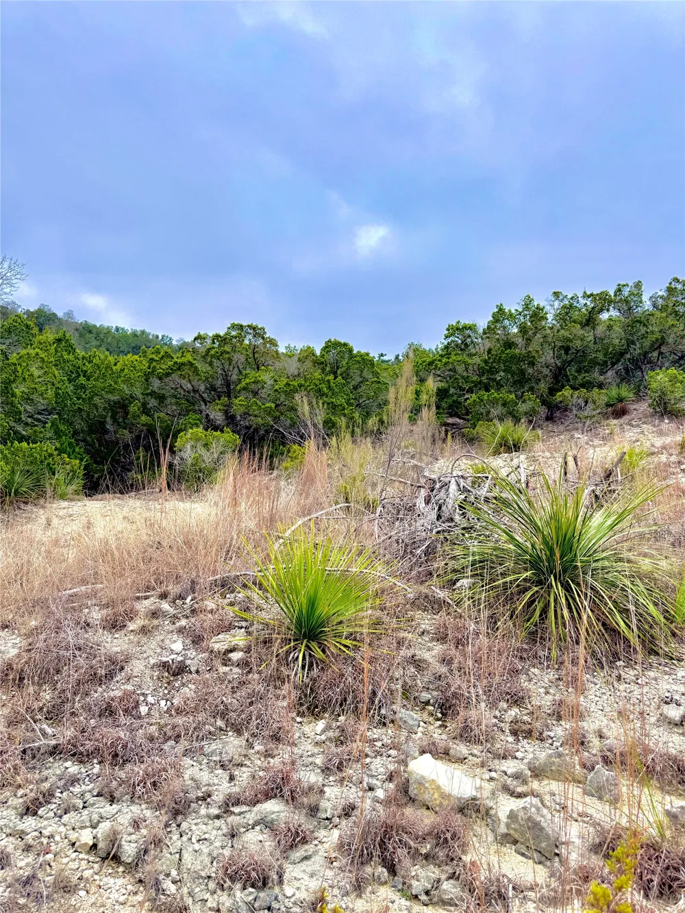 123 Fox Trail Drive Center Point, TX 78013