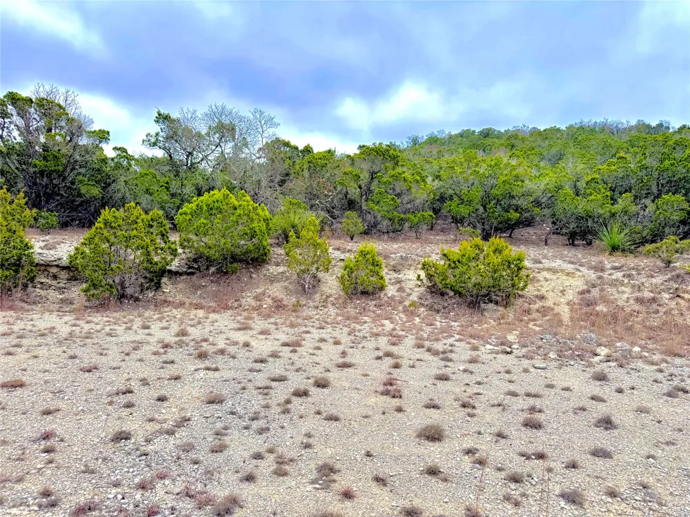 123 Fox Trail Drive Center Point, TX 78013
