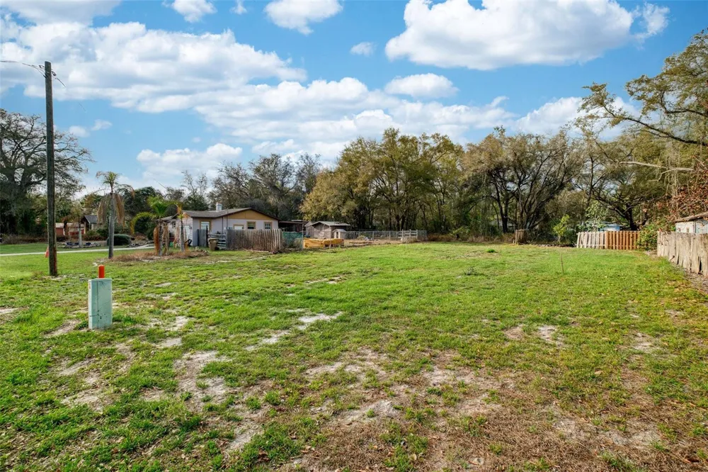 LAKE GRIFFIN ROAD Lady Lake, FL 32159