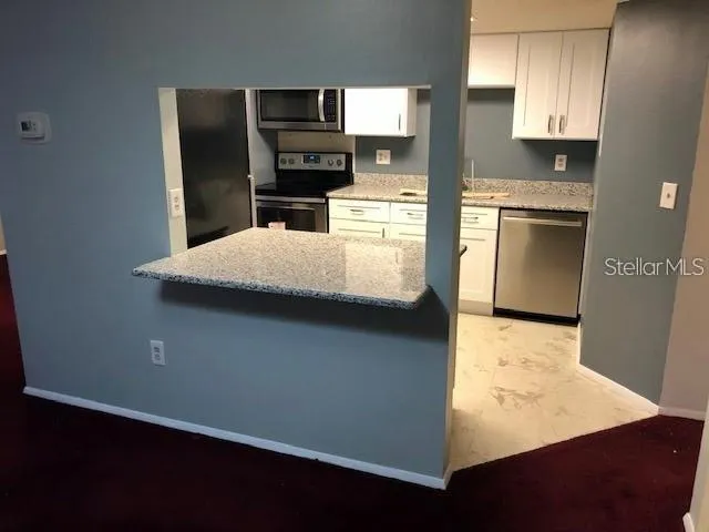 124 LOBLOLLY COURT #D Oldsmar, FL 34677