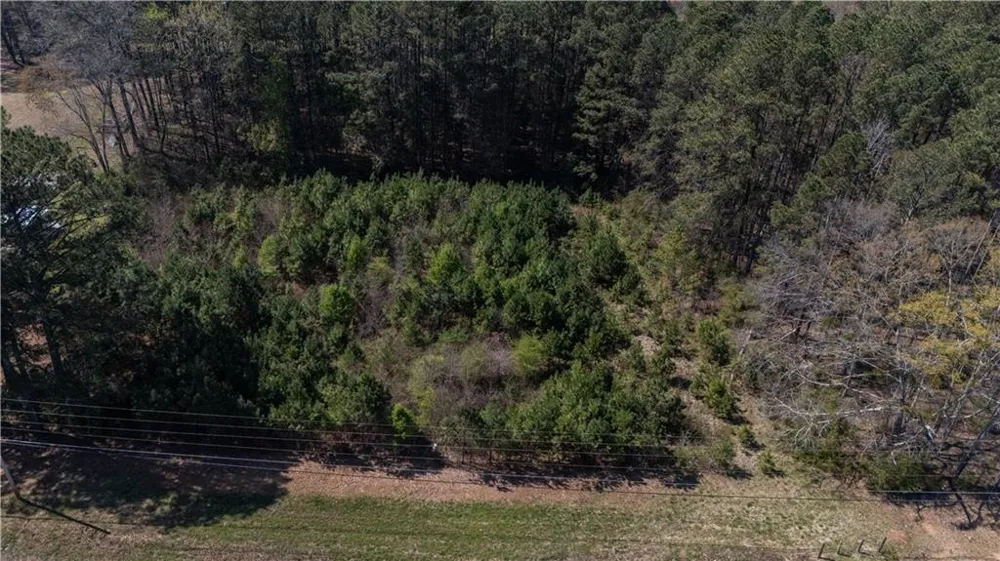0 East Of Burch Road Fayetteville, GA 30215