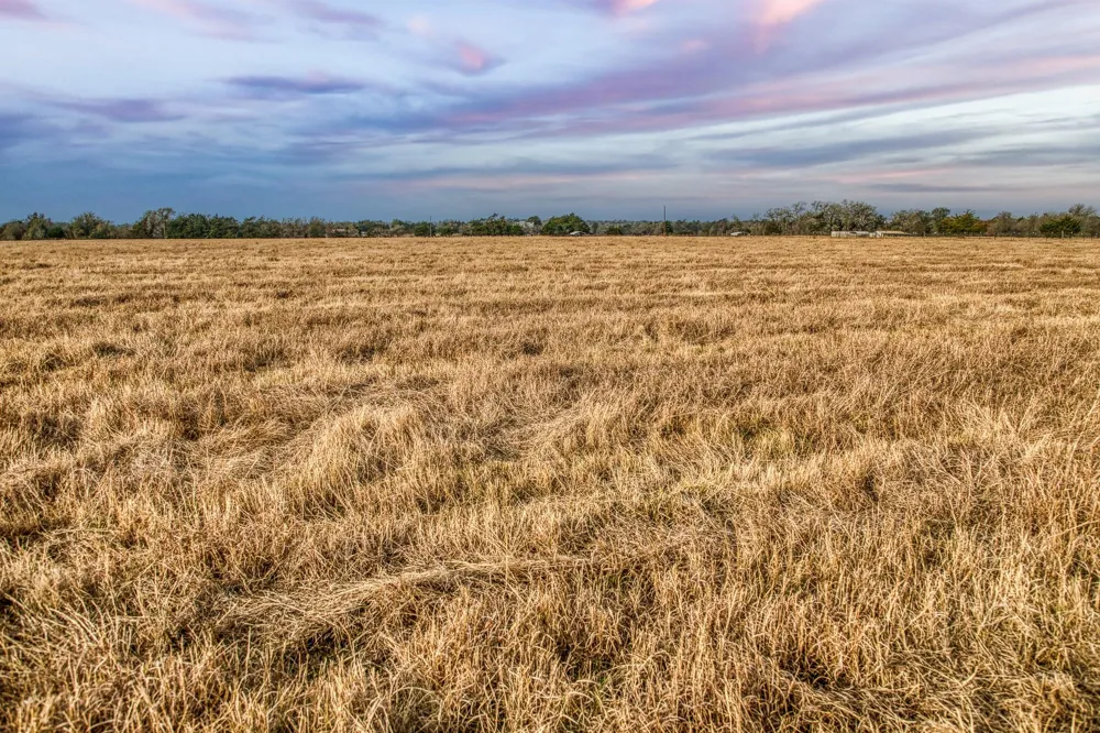 10444 County Road 318 Caldwell, TX 77836