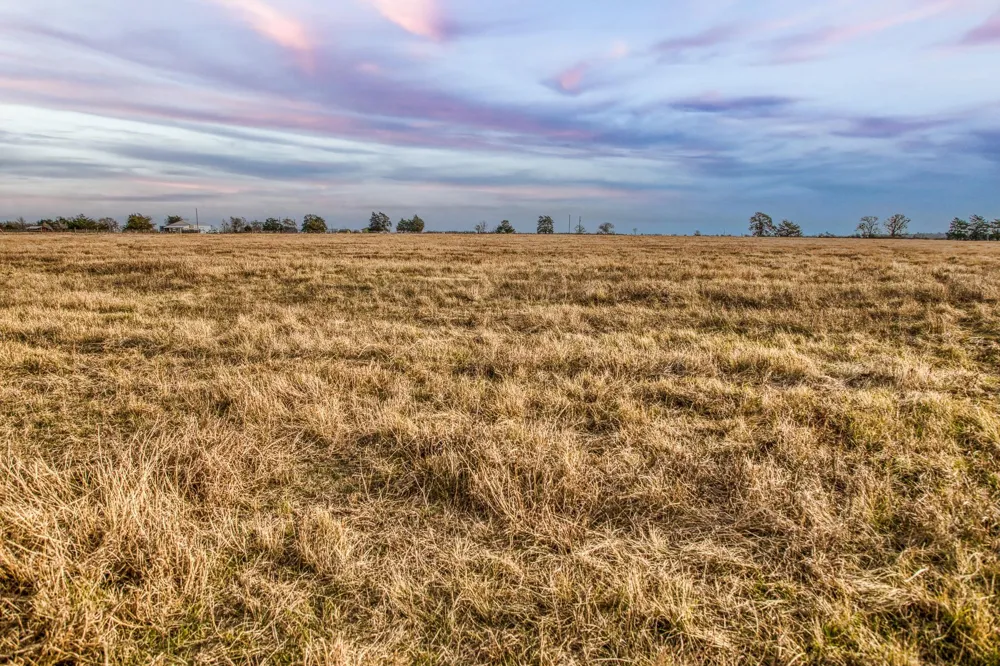 10444 County Road 318 Caldwell, TX 77836