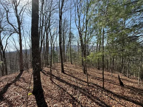 Betts Branch Road