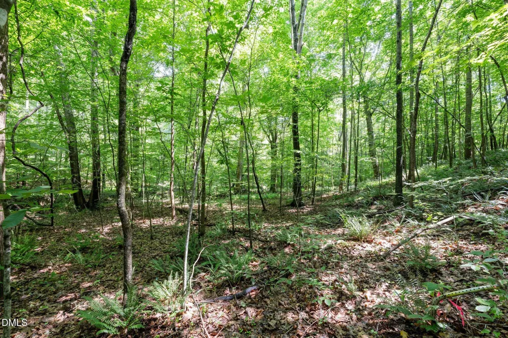 6910 Long Meadow Lane Whitsett, NC 27377
