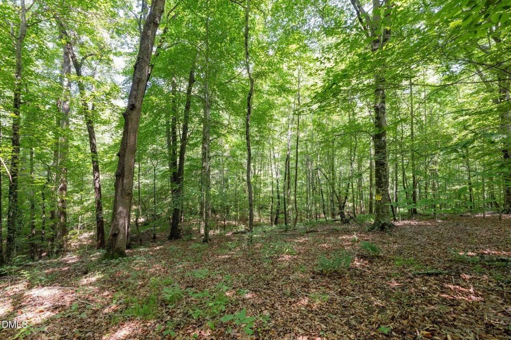 6910 Long Meadow Lane Whitsett, NC 27377