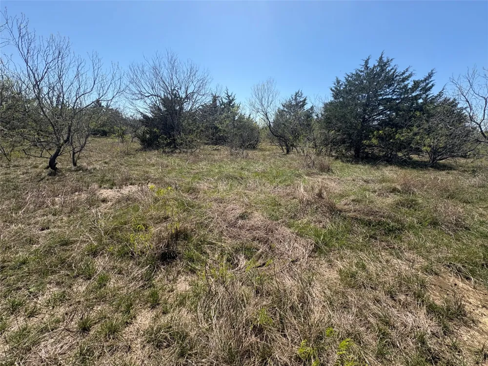 Patterson Road Flatonia, TX 78941