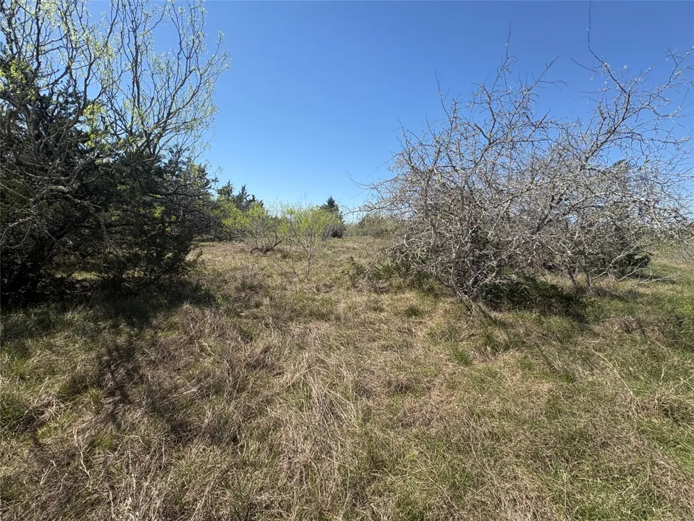 Patterson Road Flatonia, TX 78941