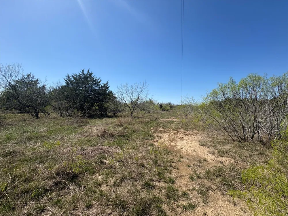 Patterson Road Flatonia, TX 78941