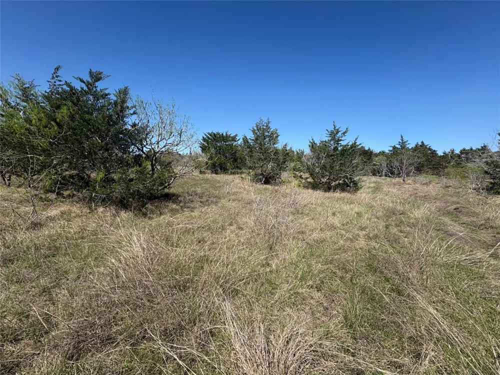 Patterson Road Flatonia, TX 78941