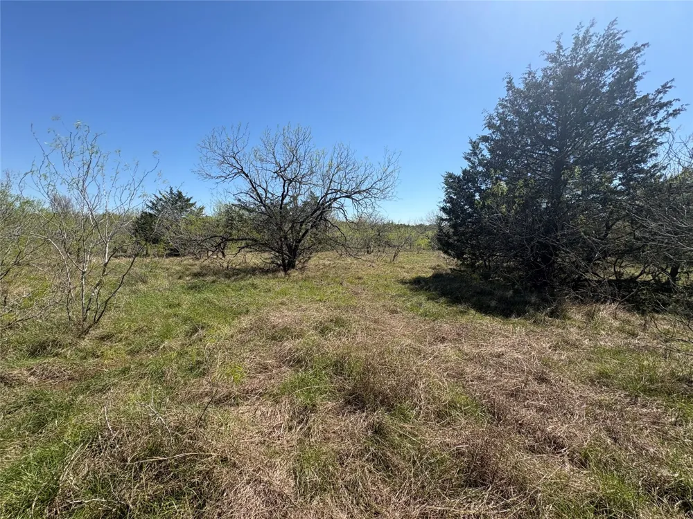 Patterson Road Flatonia, TX 78941