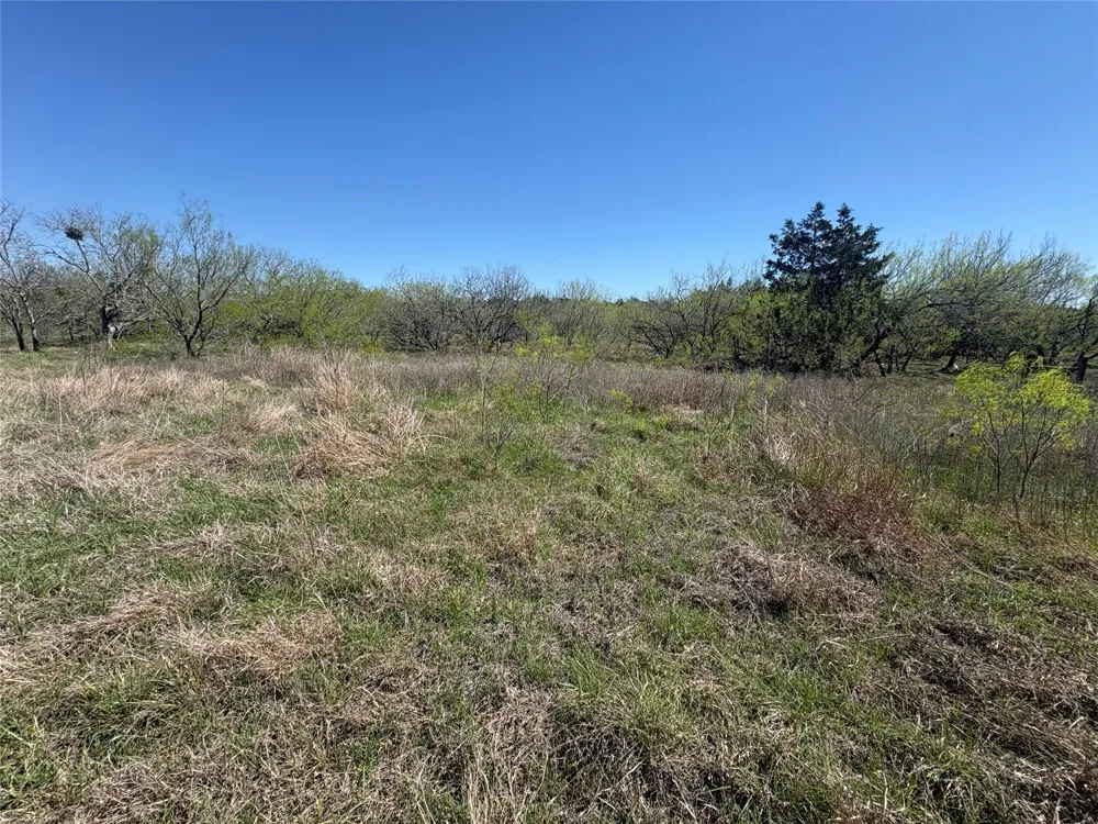 Patterson Road Flatonia, TX 78941