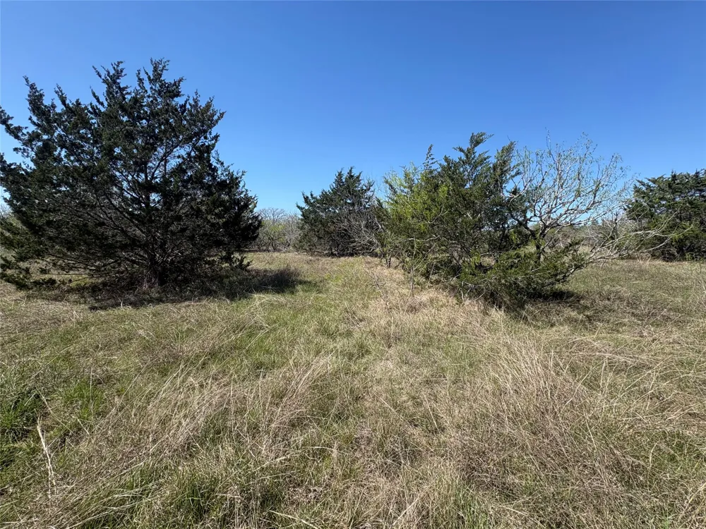 Patterson Road Flatonia, TX 78941