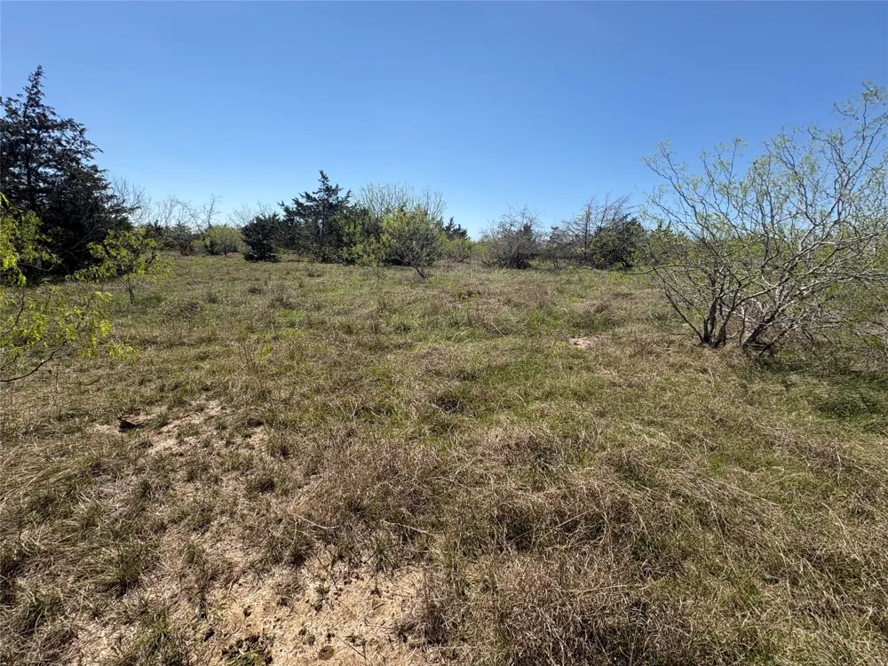 Patterson Road Flatonia, TX 78941