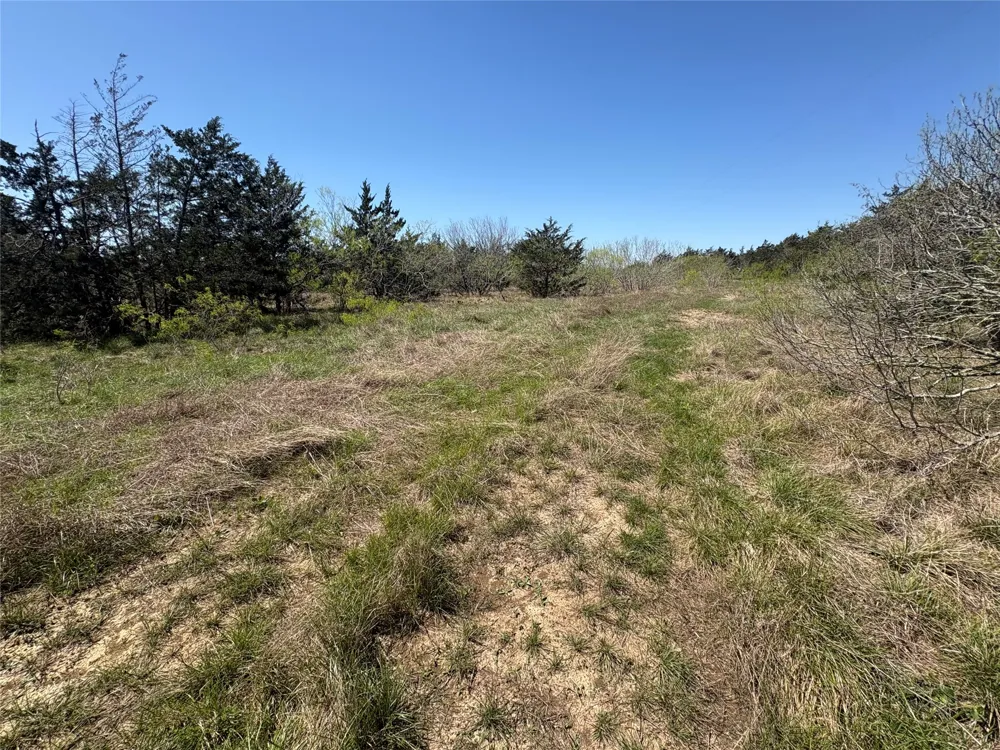 Patterson Road Flatonia, TX 78941