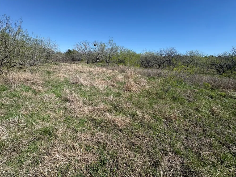 Patterson Road Flatonia, TX 78941