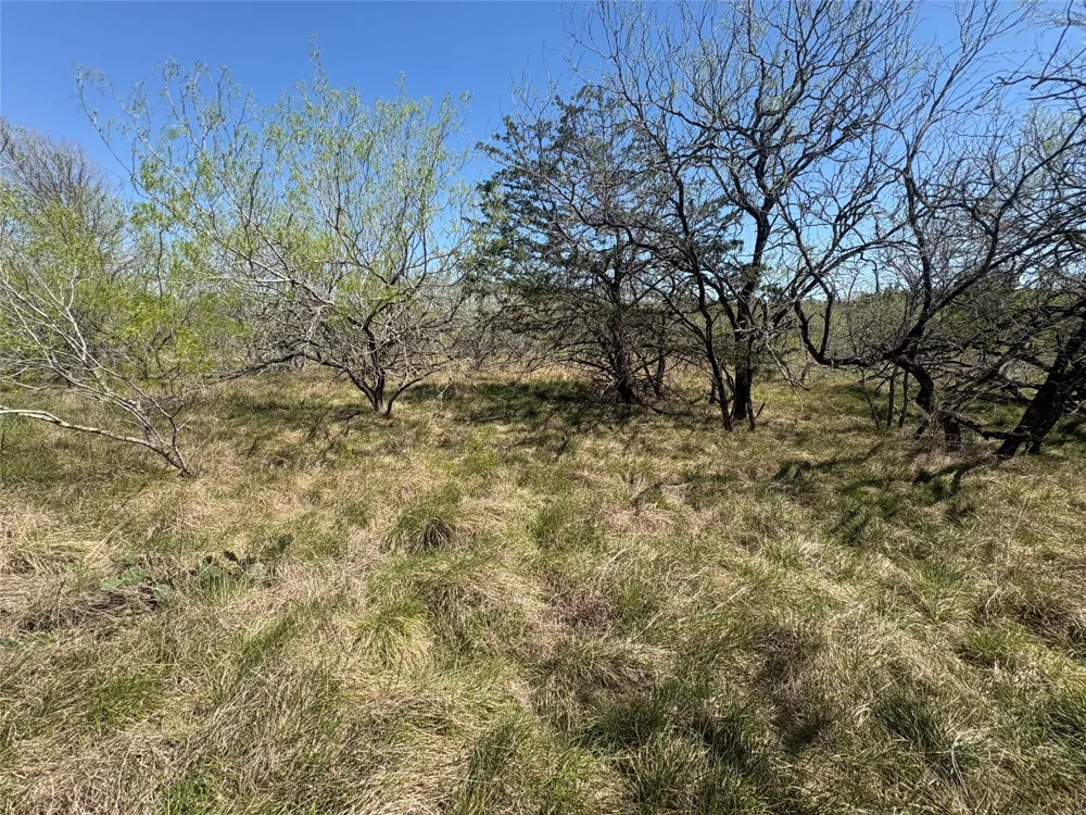 Patterson Road Flatonia, TX 78941