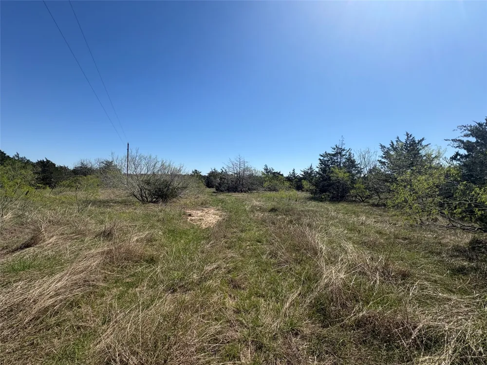 Patterson Road Flatonia, TX 78941