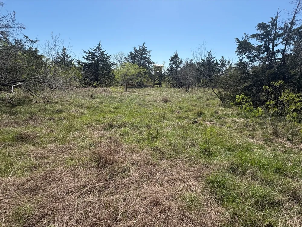 Patterson Road Flatonia, TX 78941