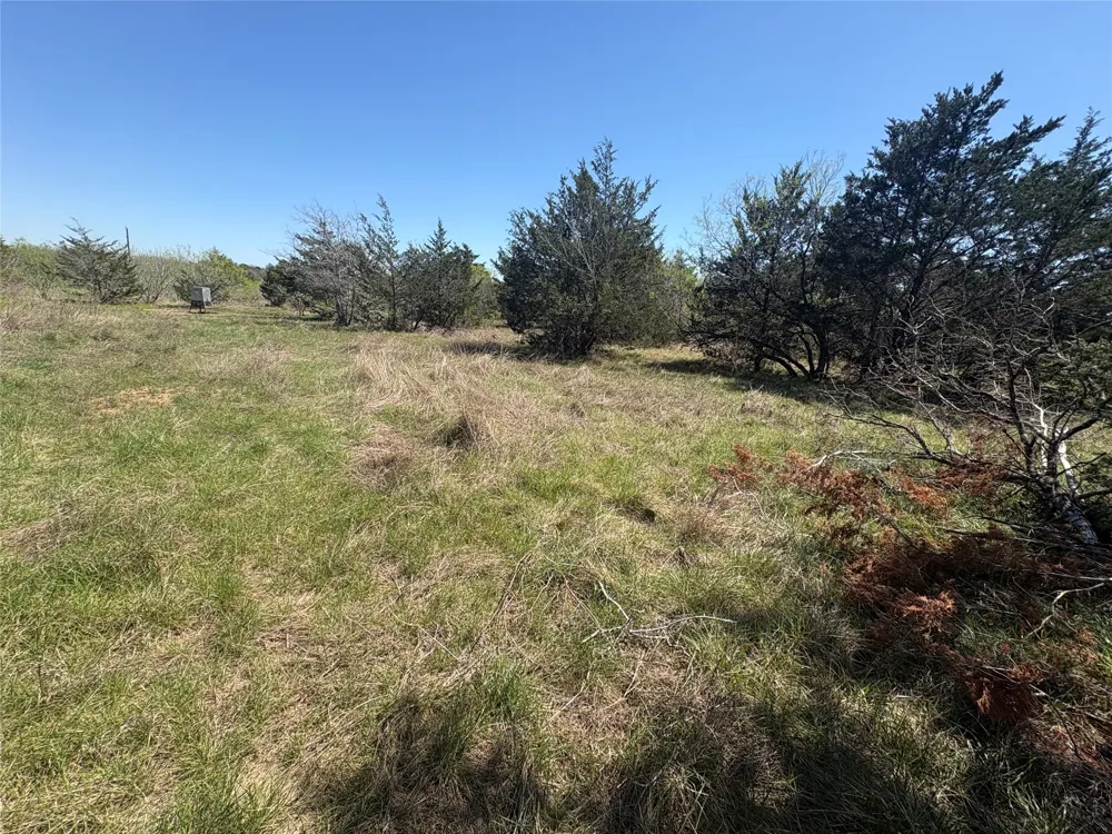 Patterson Road Flatonia, TX 78941