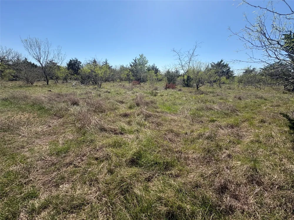 Patterson Road Flatonia, TX 78941