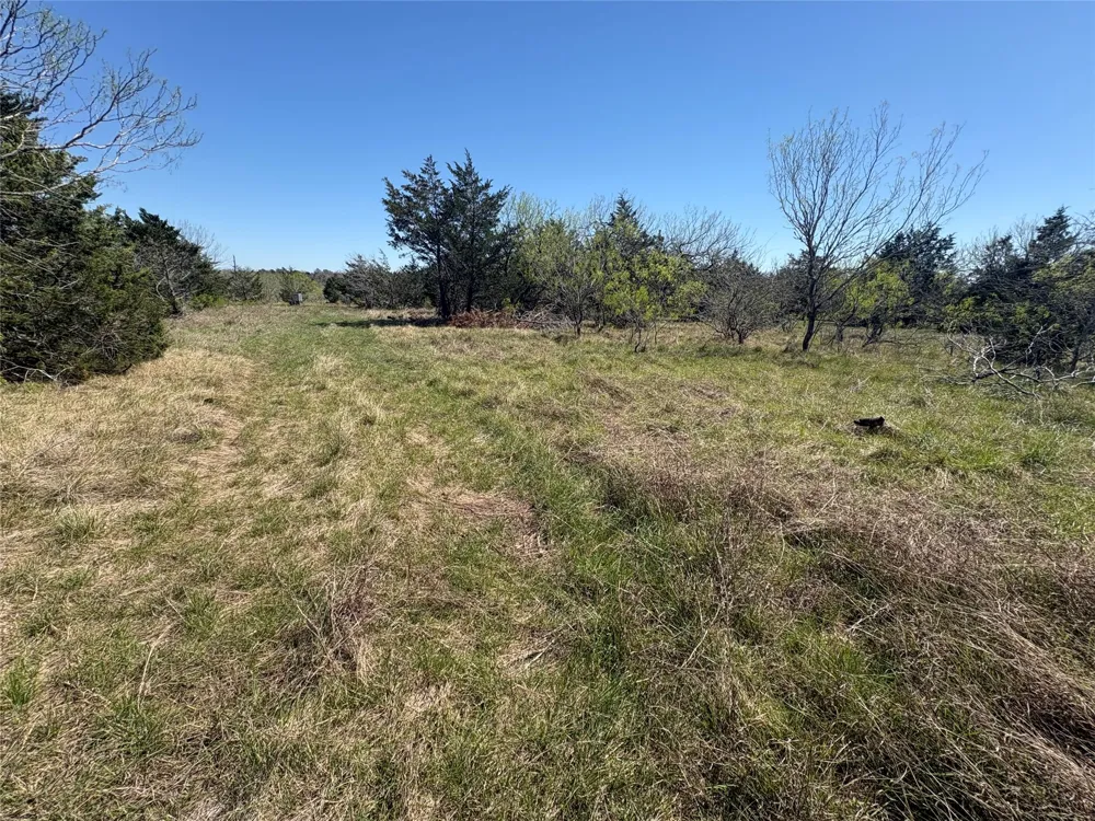 Patterson Road Flatonia, TX 78941