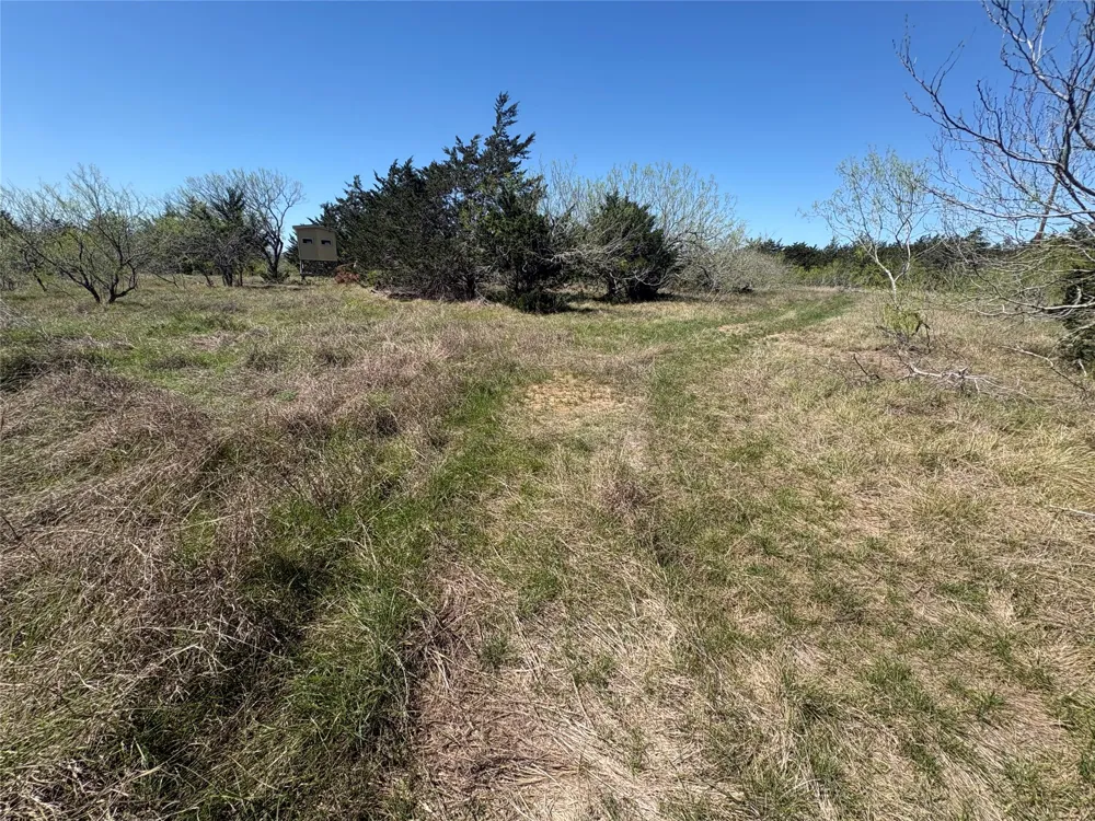 Patterson Road Flatonia, TX 78941