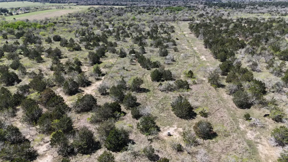 Patterson Road Flatonia, TX 78941