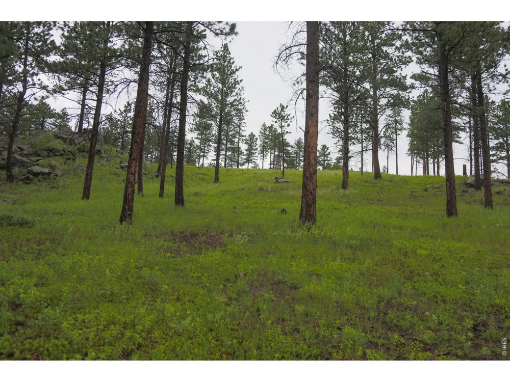 14884 Rist Canyon Road Bellvue, CO 80512
