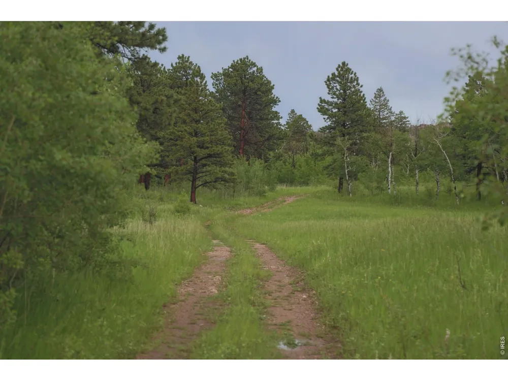 14884 Rist Canyon Road Bellvue, CO 80512