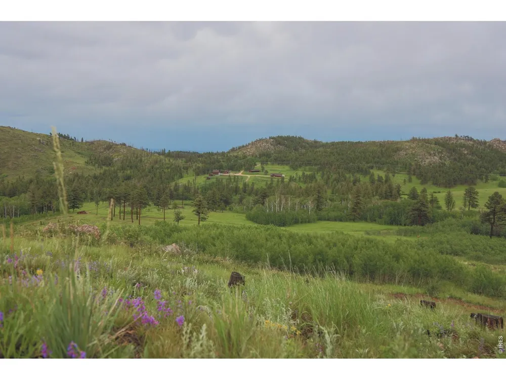 14884 Rist Canyon Road Bellvue, CO 80512