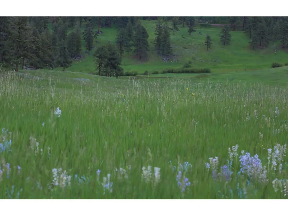 14884 Rist Canyon Road Bellvue, CO 80512