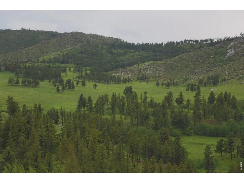 14884 Rist Canyon Road Bellvue, CO 80512