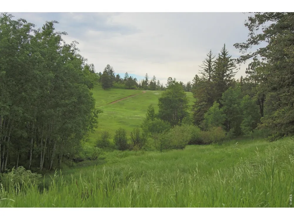 14884 Rist Canyon Road Bellvue, CO 80512