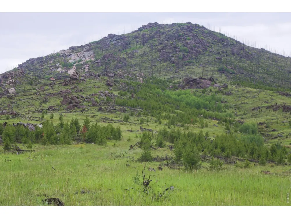 14884 Rist Canyon Road Bellvue, CO 80512