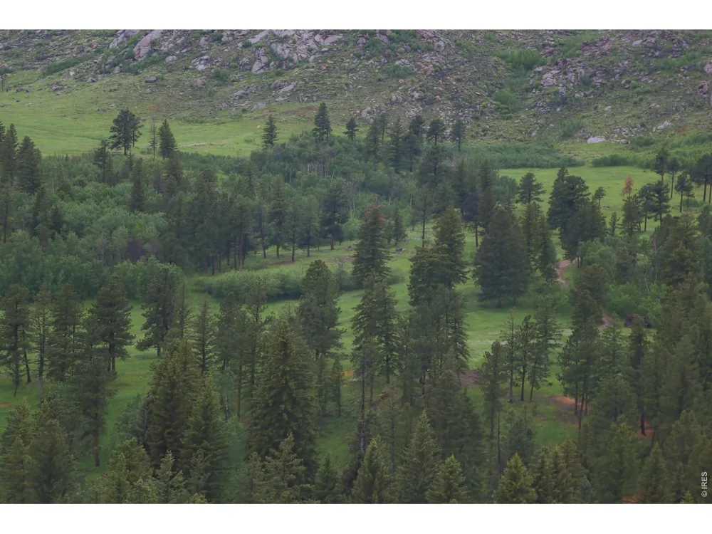 14884 Rist Canyon Road Bellvue, CO 80512