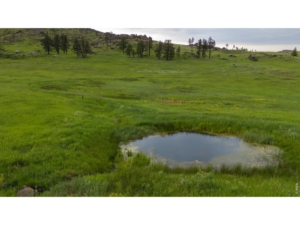 14884 Rist Canyon Road Bellvue, CO 80512