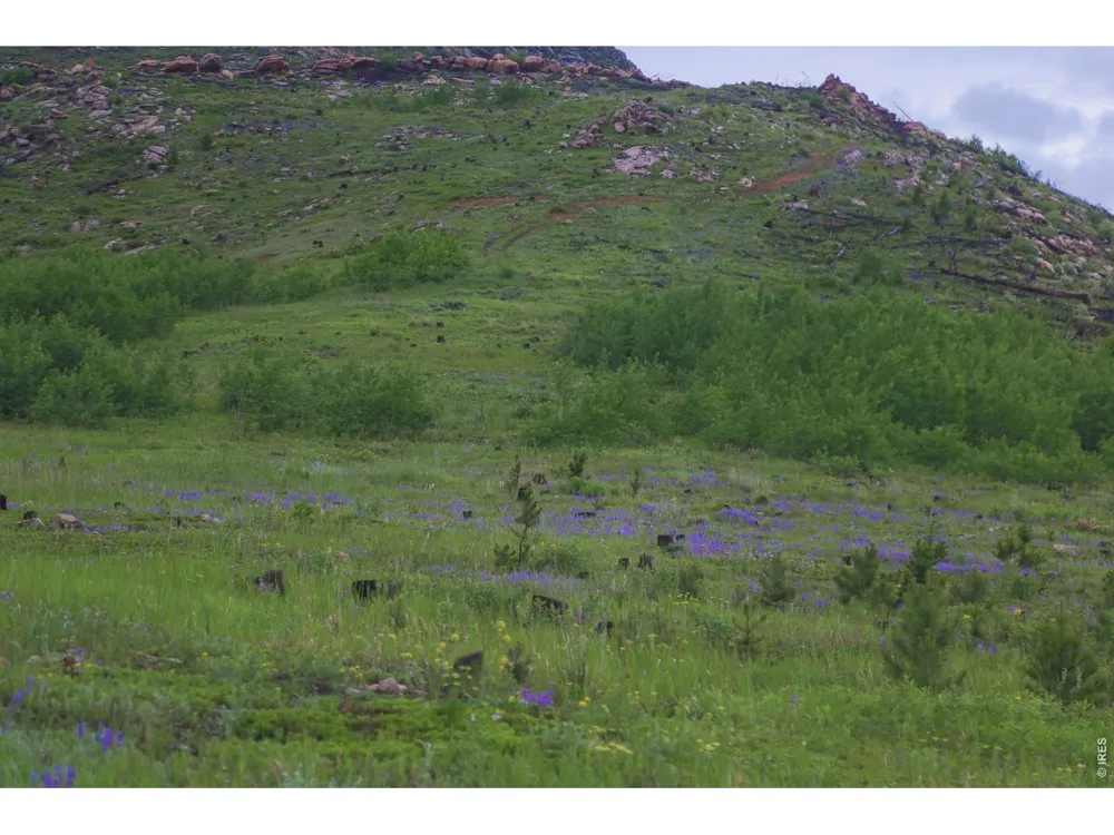 14884 Rist Canyon Road Bellvue, CO 80512