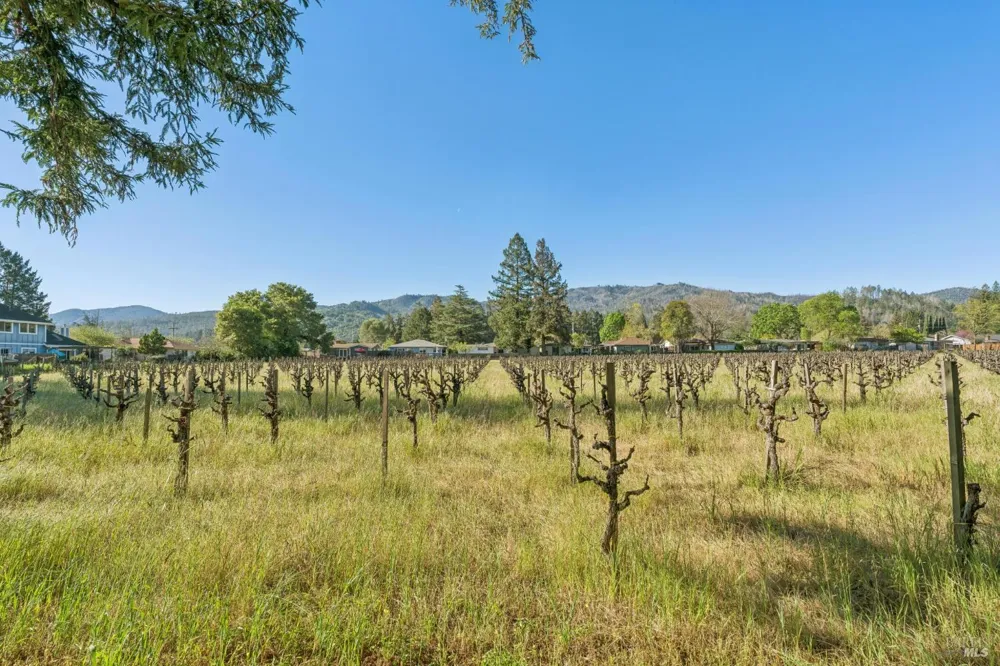 1143 Hudson Avenue St. Helena, CA 94574