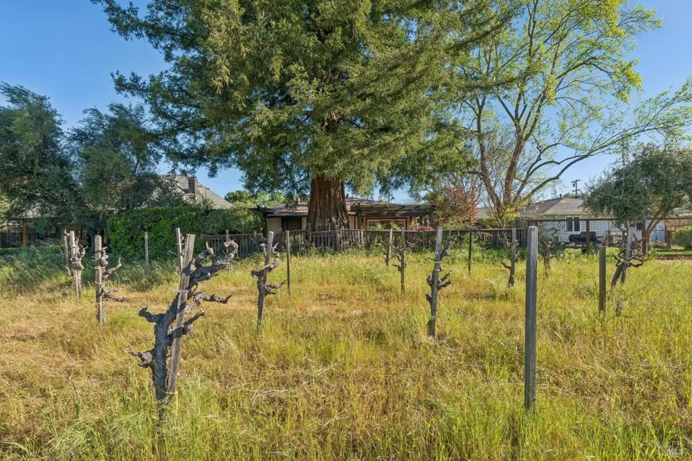 1143 Hudson Avenue St. Helena, CA 94574