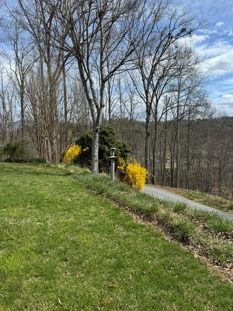 Ela Lane Bryson City, NC 28713