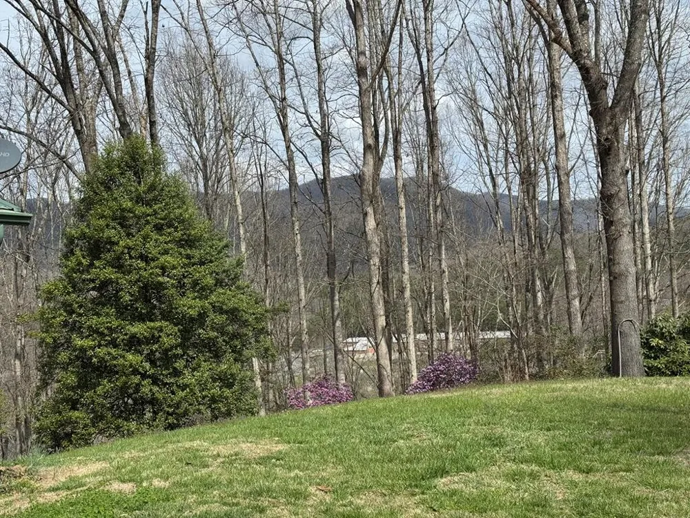 Ela Lane Bryson City, NC 28713