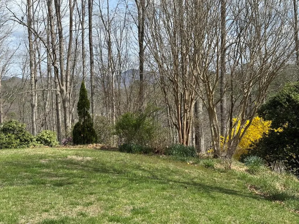 Ela Lane Bryson City, NC 28713