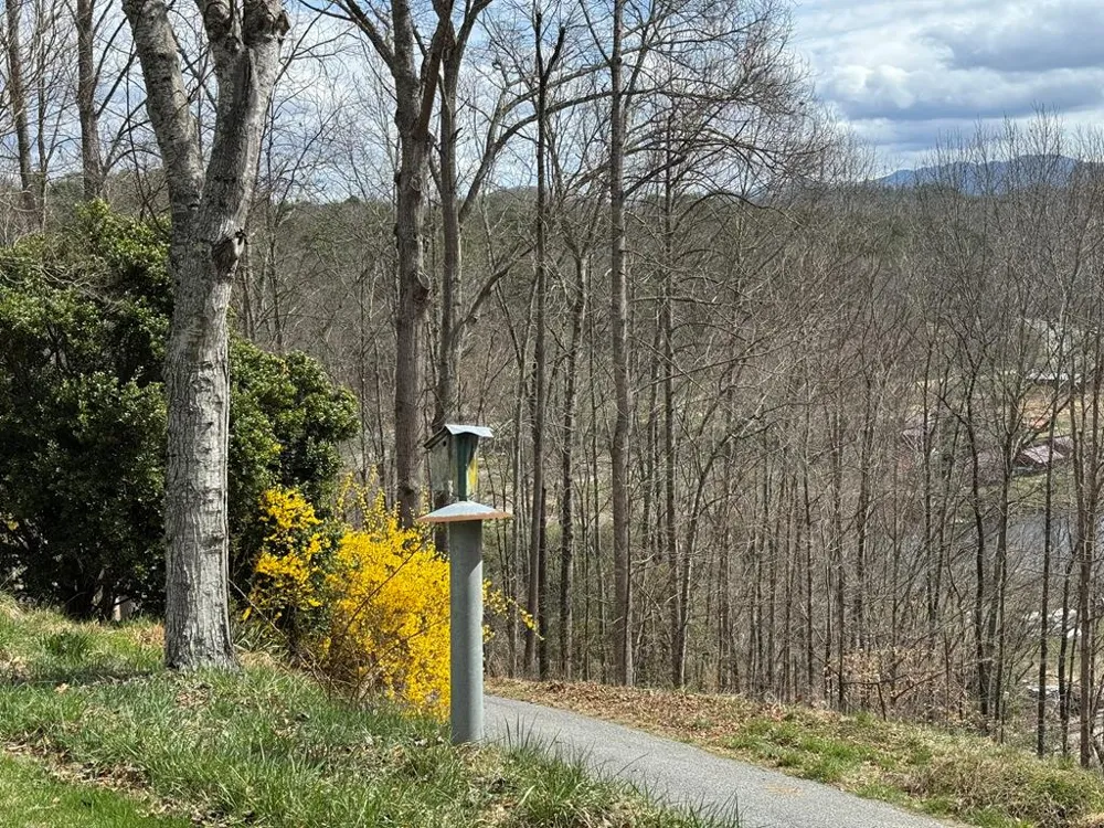 Ela Lane Bryson City, NC 28713