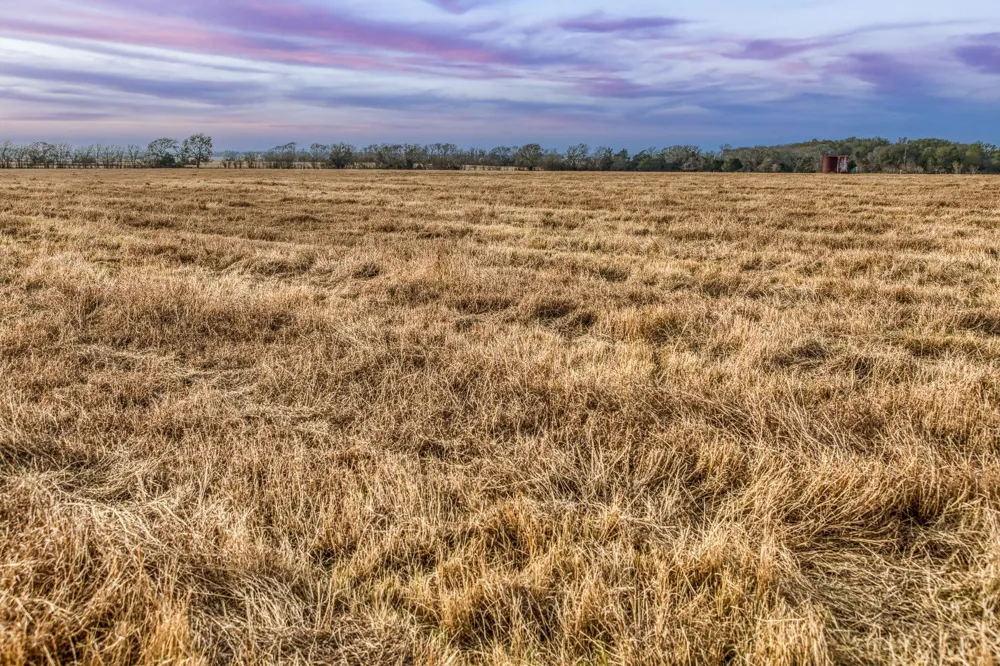 County Road 318 Caldwell, TX 77836