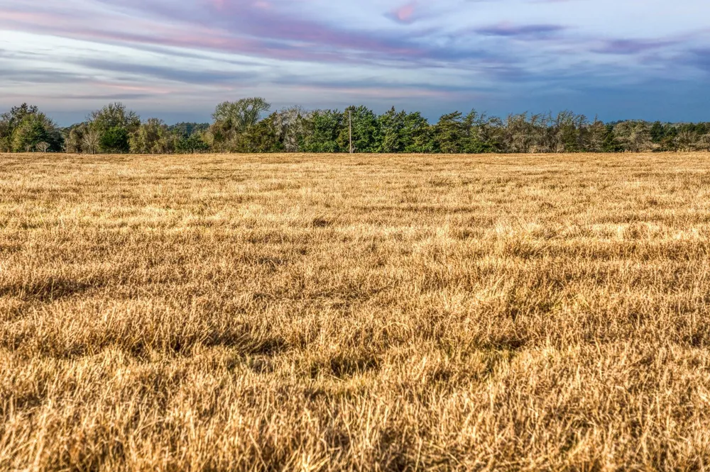 County Road 318 Caldwell, TX 77836